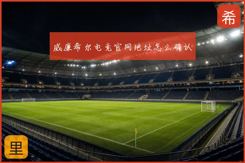 威廉希尔电竞官网地址怎么确认