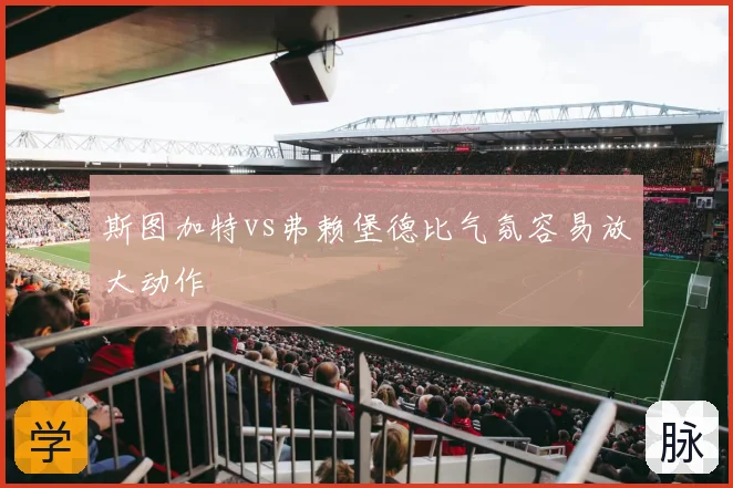 斯图加特vs弗赖堡德比气氛容易放大动作