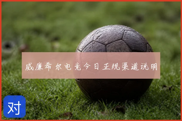 威廉希尔电竞今日正规渠道说明